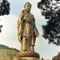 crbst_bouddha_compassion0