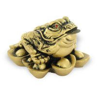 crapaud de richesse feng shui