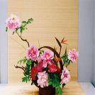 L‘ikébana est l‘art floral traditionnel du Japon